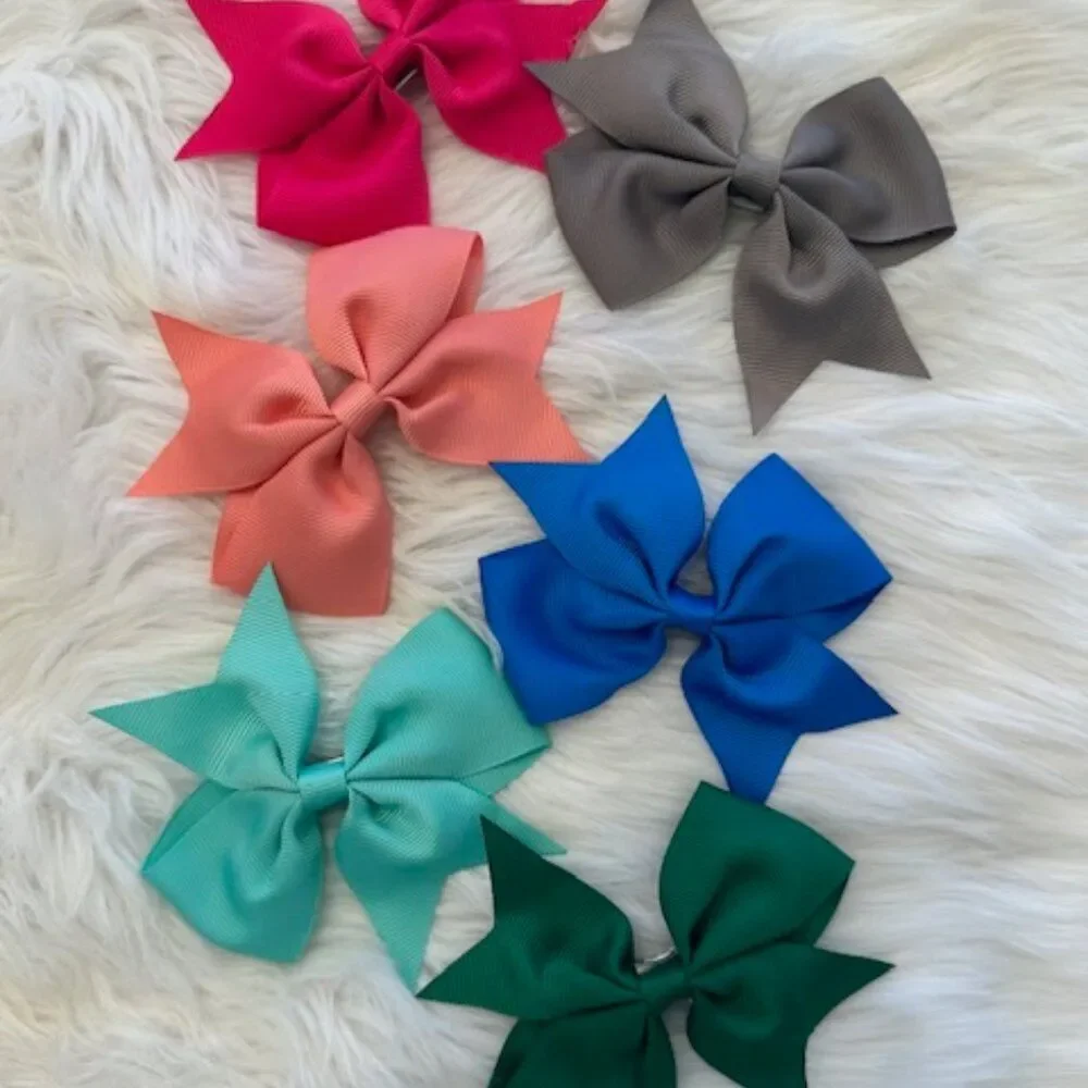 Bundle (6) of Variety 4